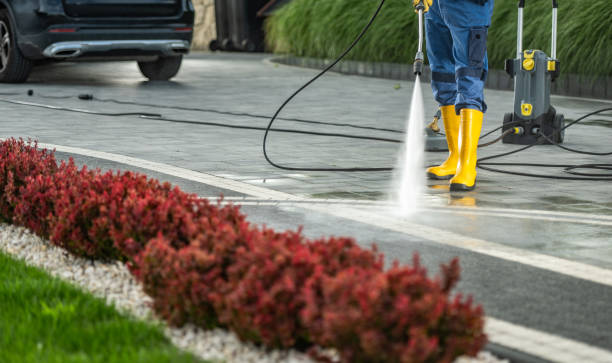 Best Solar Panel Cleaning  in Pea Ridge, FL